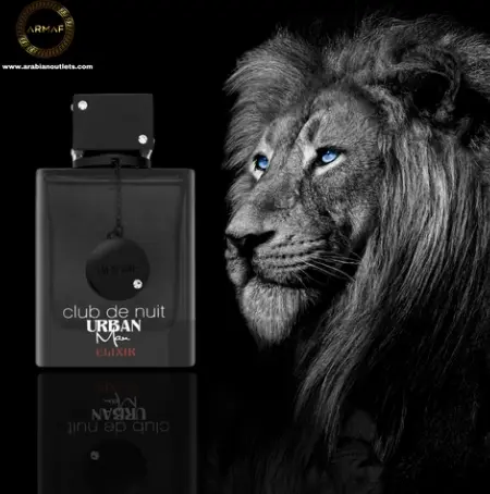 club de nuit urban elixir